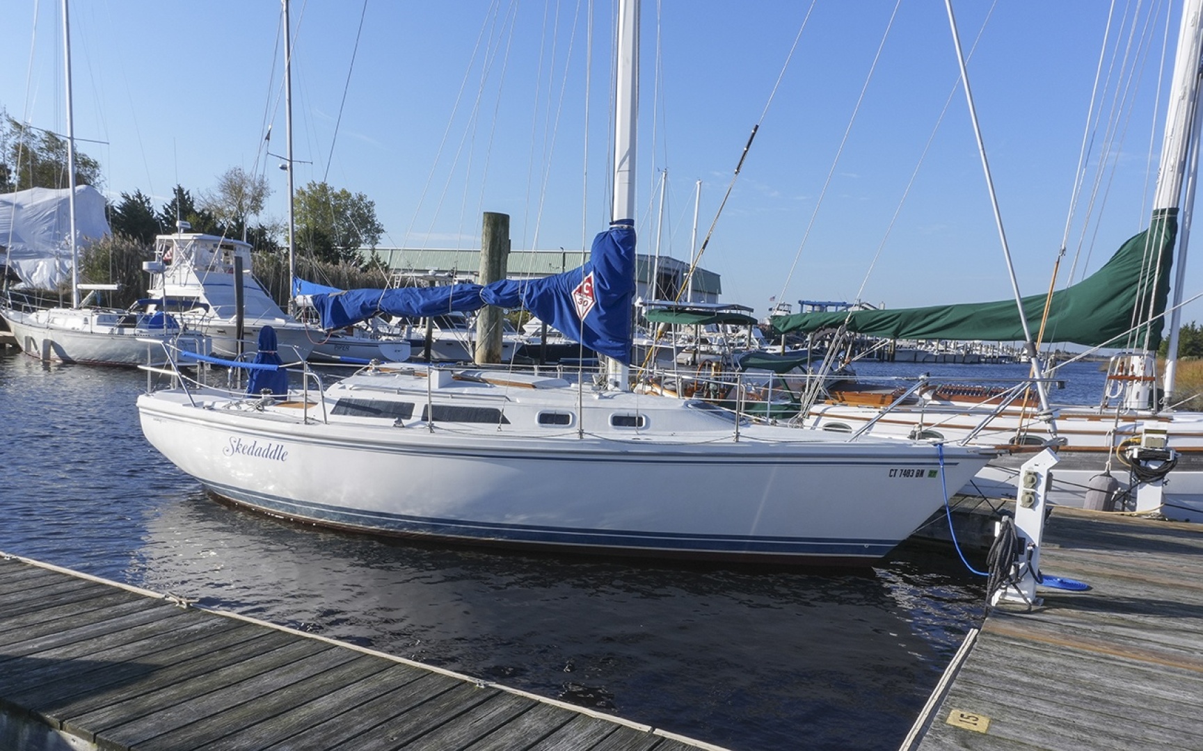 Skedaddle 30ft Catalina Yacht For Sale