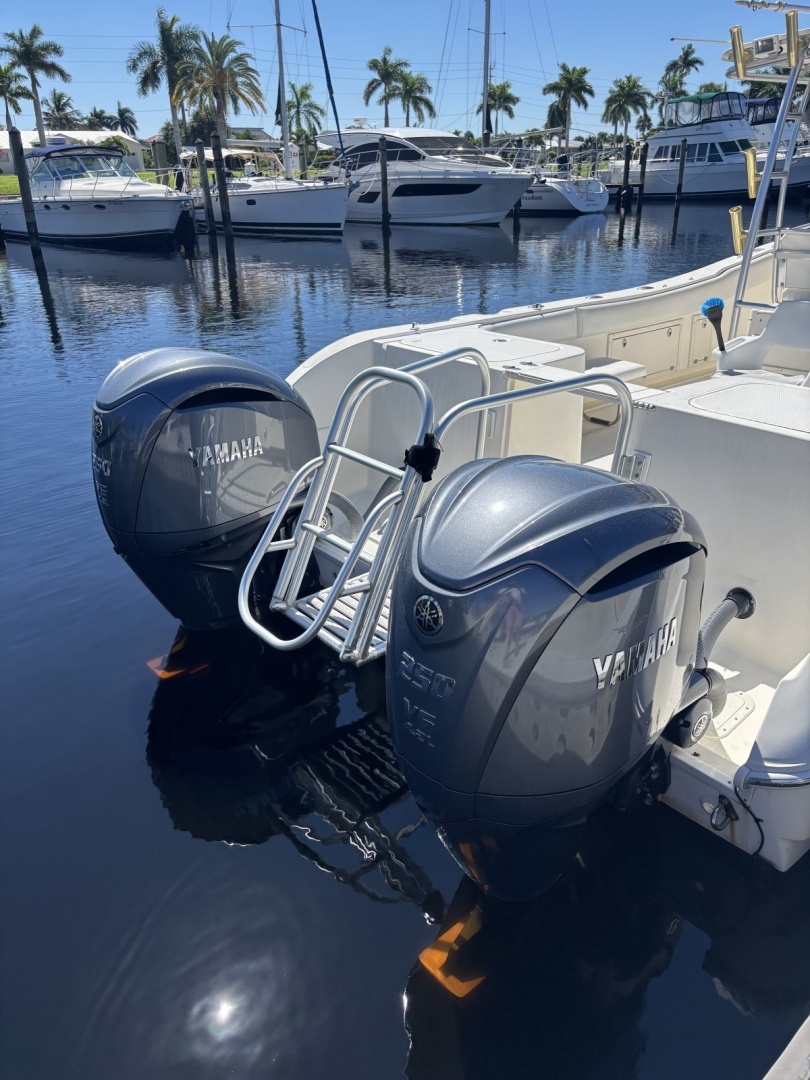 CatFish 33ft World Cat Yacht For Sale