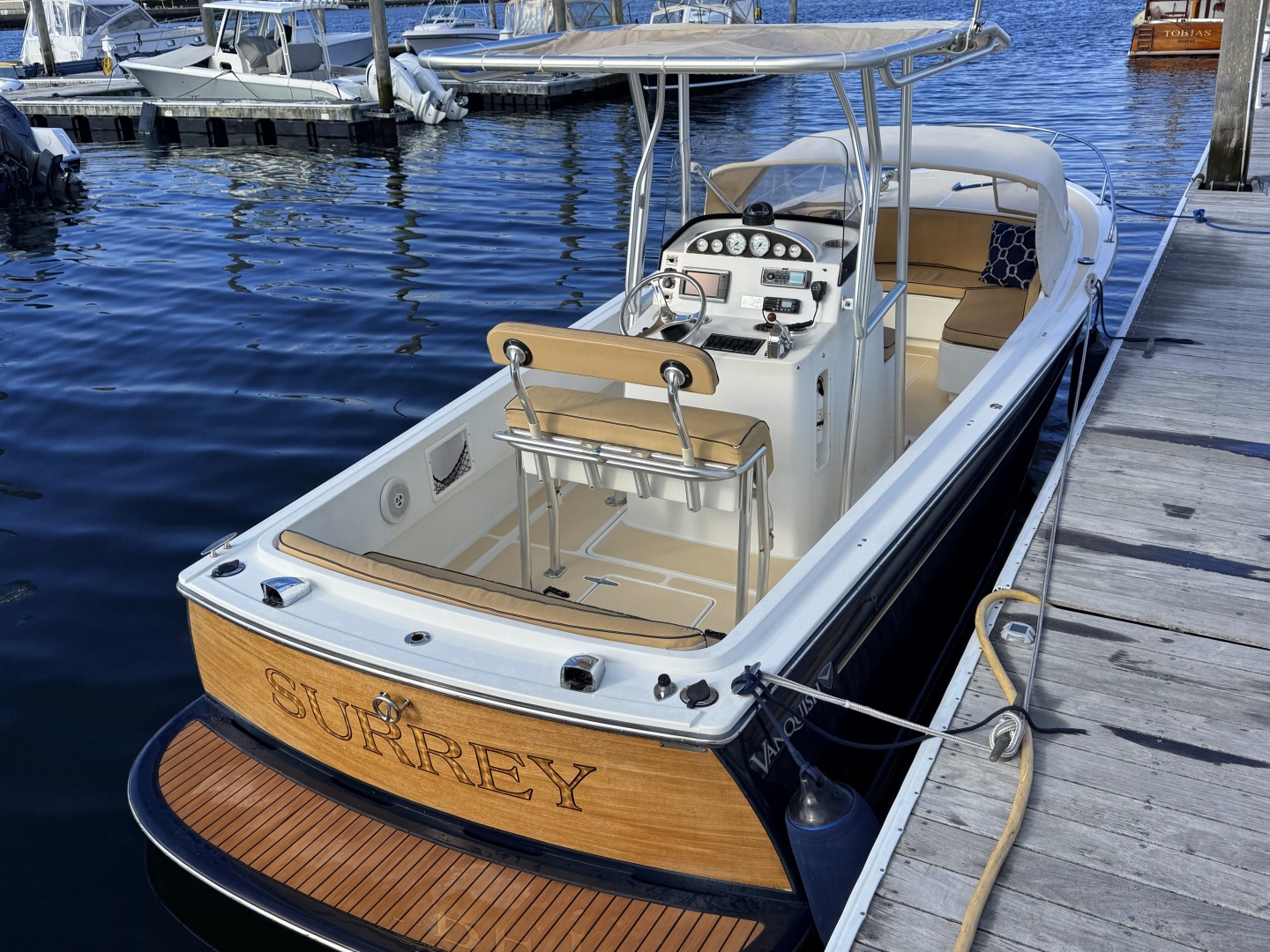 2010 Vanquish 24 Runabout