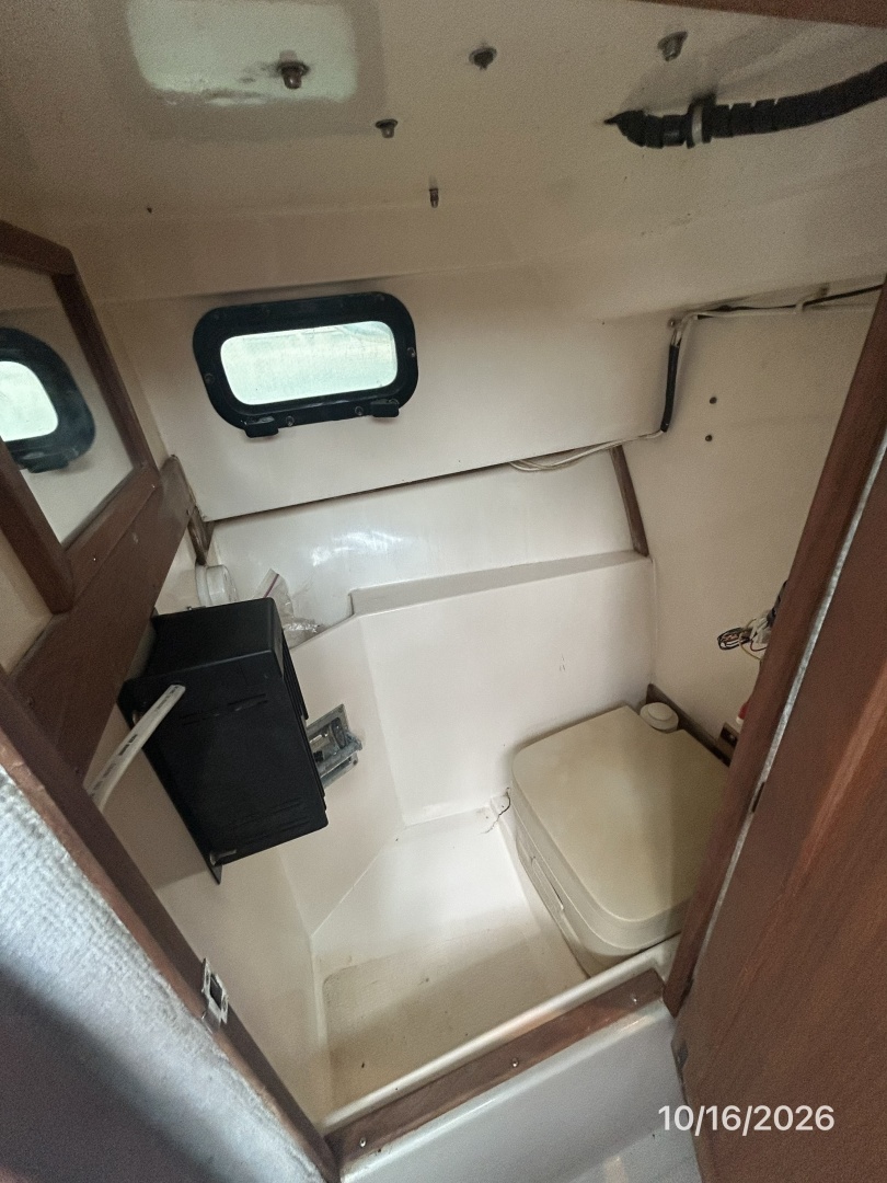 26' Shamrock head