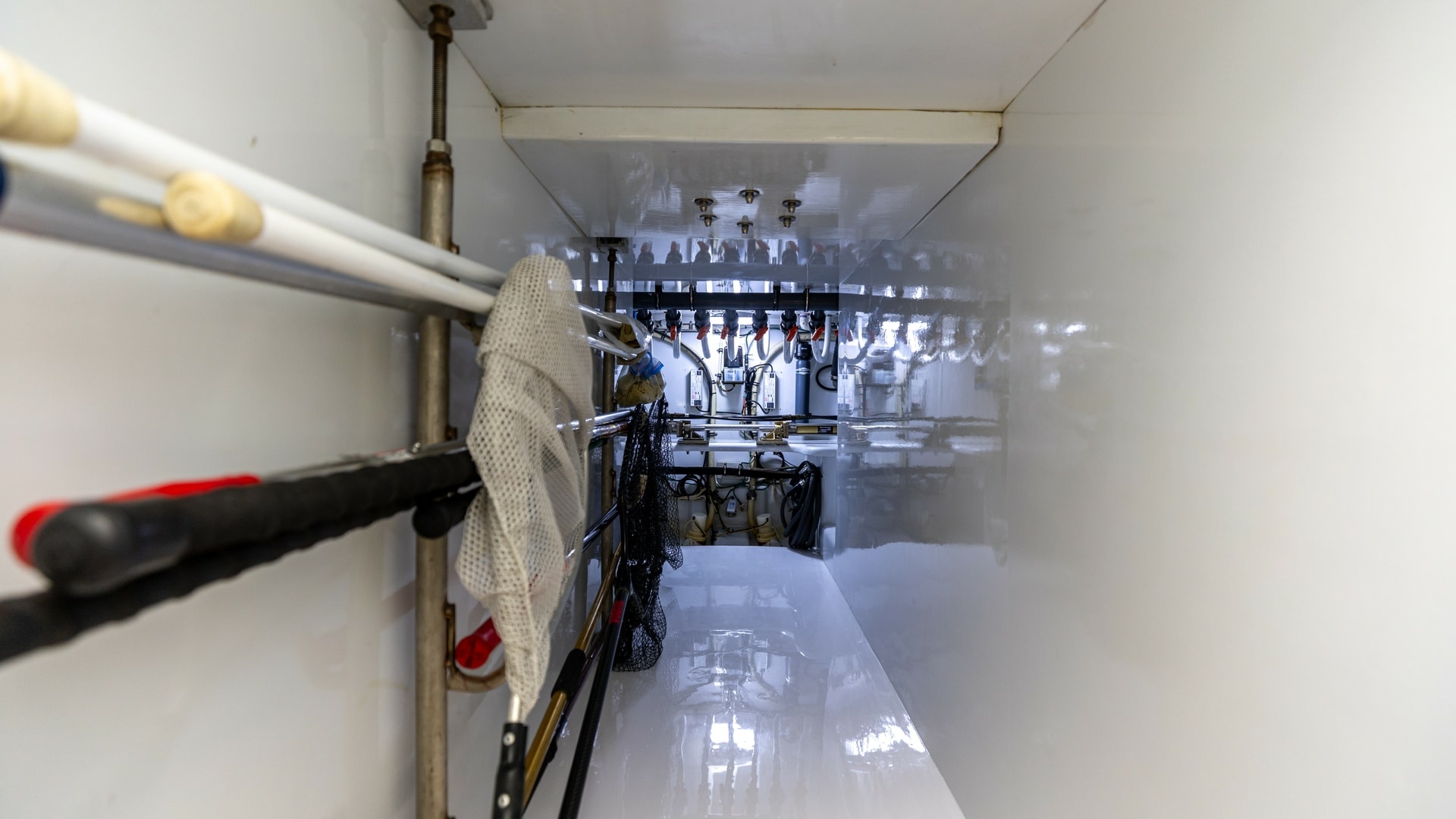 Spacious Utility and Storage Area