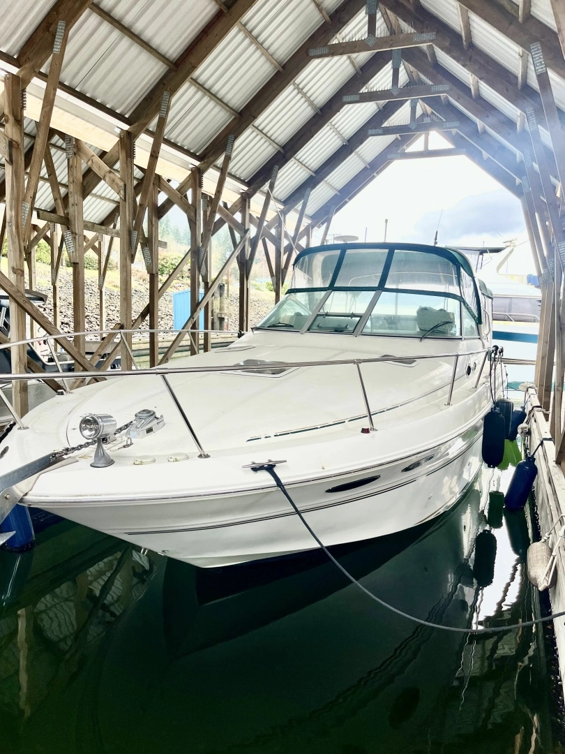 1999 Sea Ray 310 Sundancer, photo 1 of 24