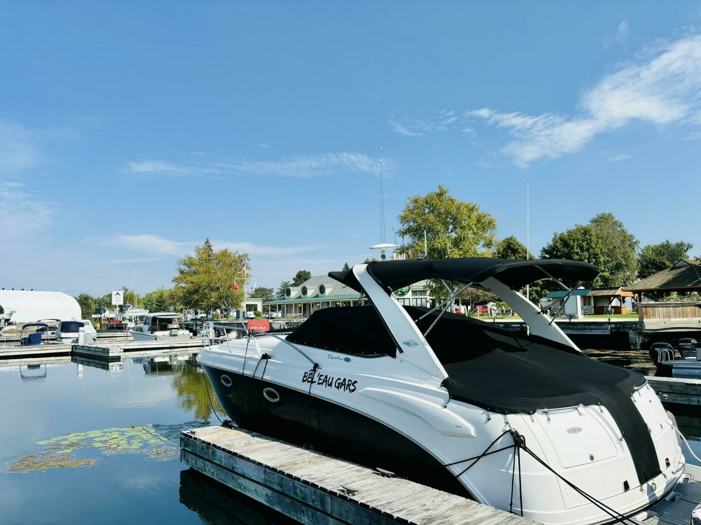 2008 Chaparral 330 Signature — photograph 2