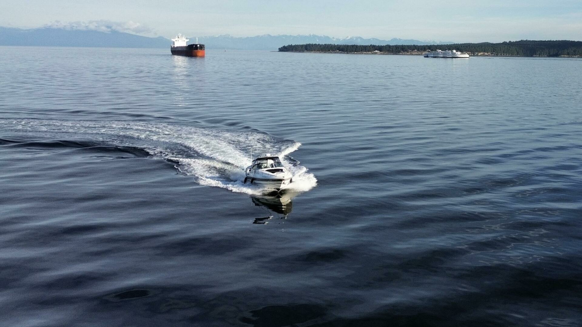2006 Cruisers Yachts 340 Express — photograph 3