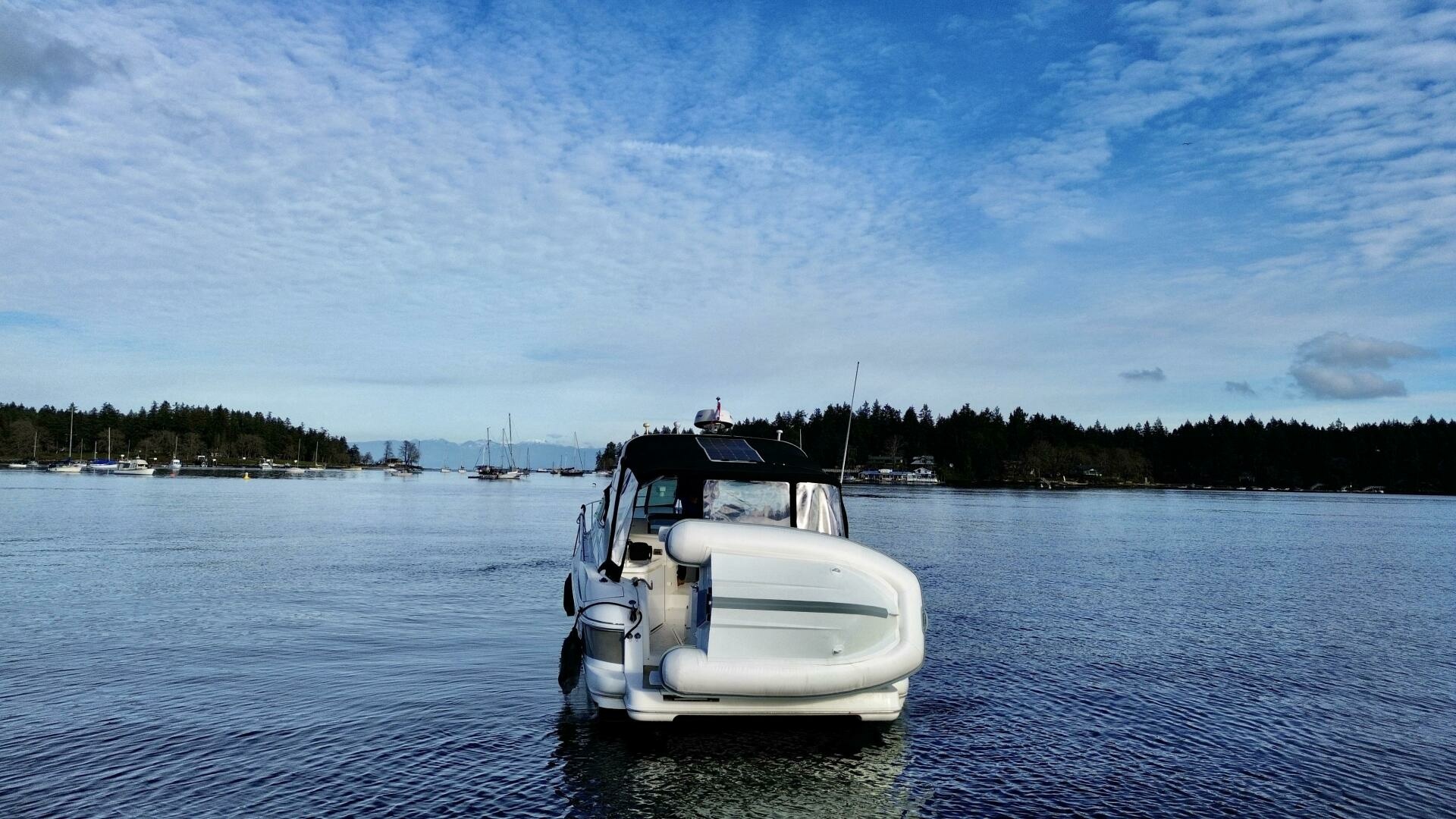 2006 Cruisers Yachts 340 Express — photograph 5