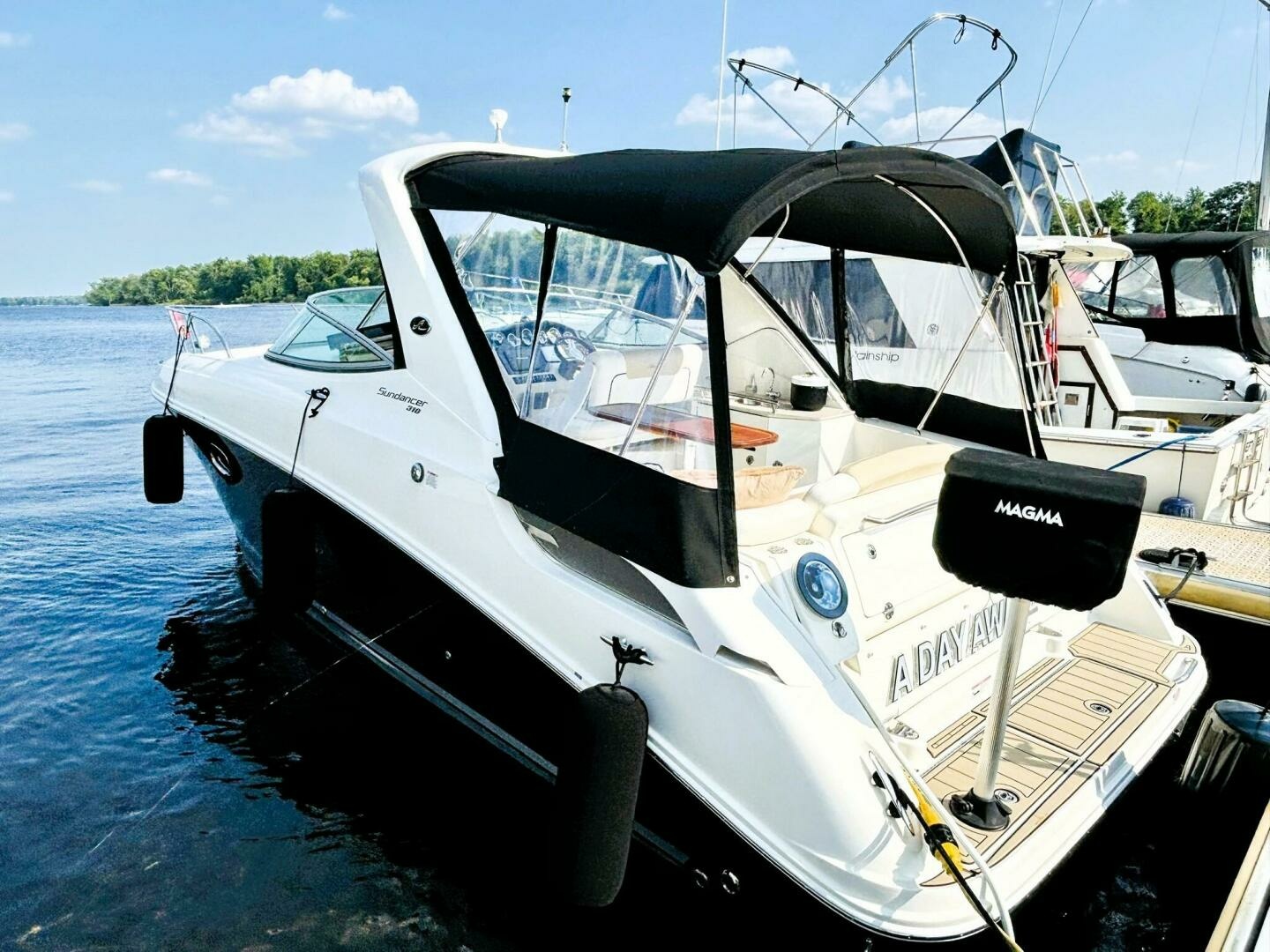 2010 Sea Ray 310 SUNDANCER 31
