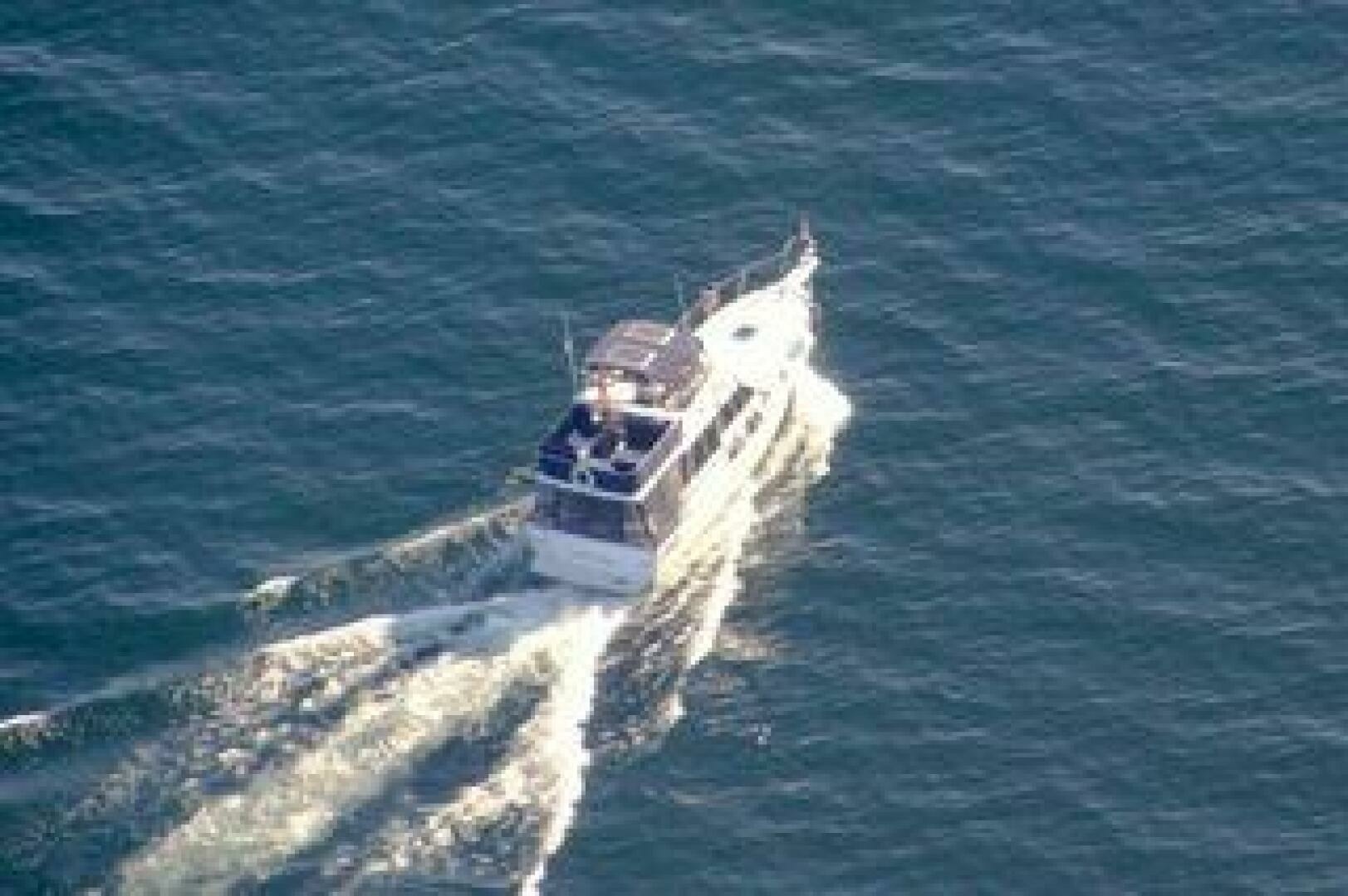 1986 Bayliner 3270 32