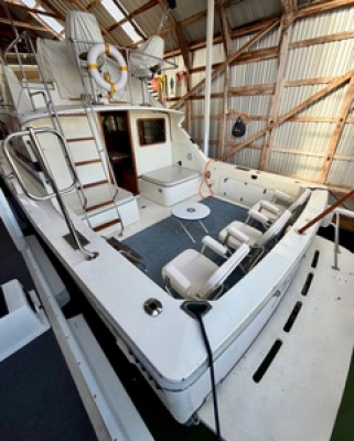 33ft Bertram Yacht For Sale