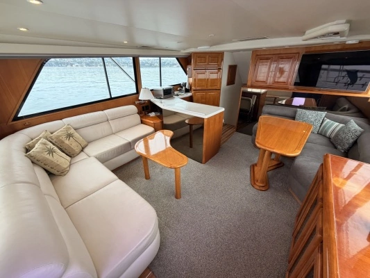 Photo of the 1994 Viking 50 Convertible "WILD RICE"