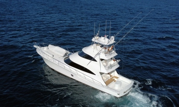 2019 Viking 80