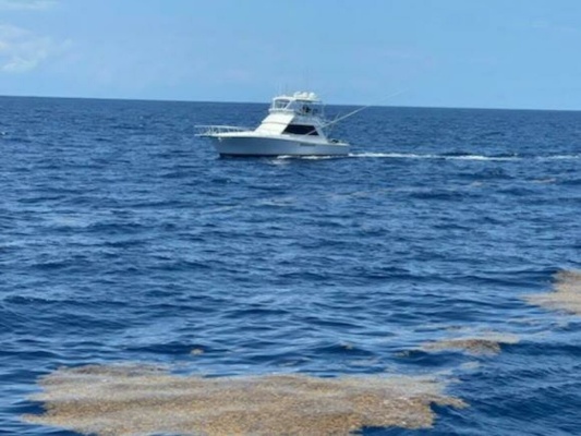 Wild Life 45ft Viking Yacht For Sale