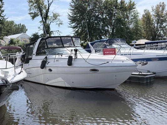 2006 RInker 320