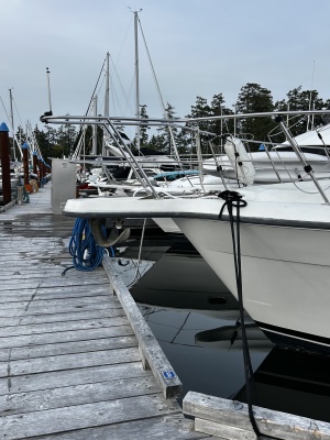 39ft Carver Yacht For Sale
