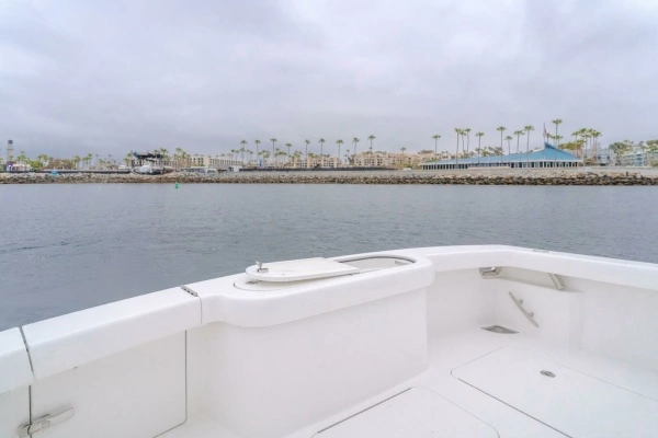 2022 Viking 38