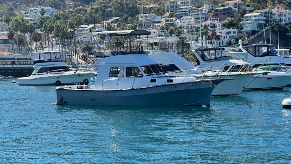 2019 Donelle 35