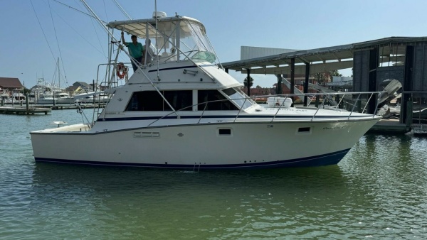 Cast Off II 38ft Bertram Yacht For Sale