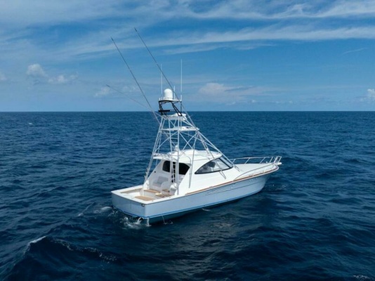 Viking 54 Sport Tower - Profile