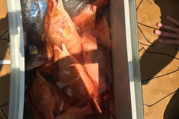 2019 French Yachts 34