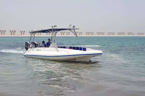 Photo of the 2022 Ocean Craft Marine Beachlander 8.75