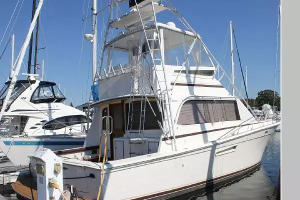 Belle 5 41ft Egg Harbor Yacht For Sale