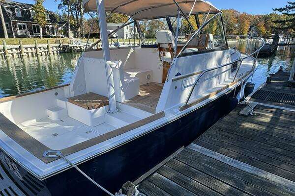 Photo of the 2000 Bruckmann Bluestar "Blue Ayes"