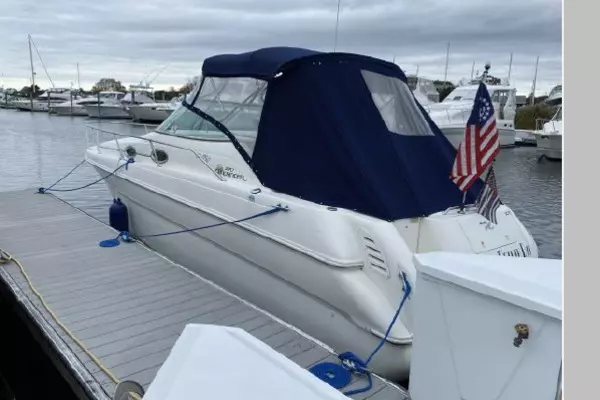 Mental Health Day 27ft Sea Ray Yacht For Sale