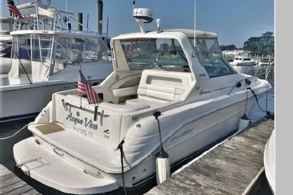 Acqua Viva 30ft Sea Ray Yacht For Sale