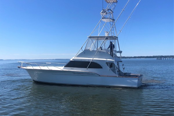 1990 Buddy Davis 47 Convertible