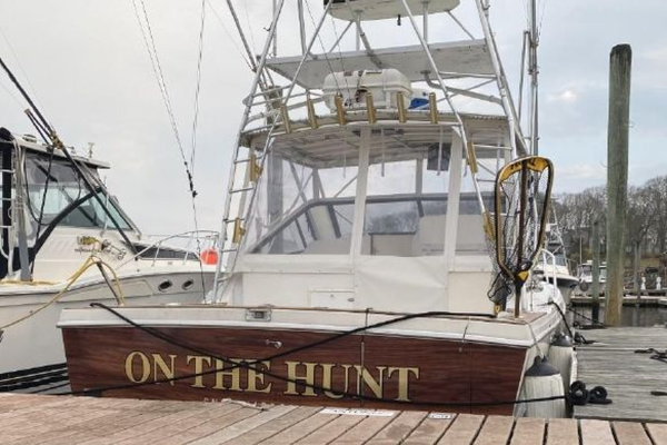 On the Hunt 32ft Blackfin Yacht For Sale