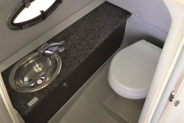 Photo of the 2019 Crownline E275XS