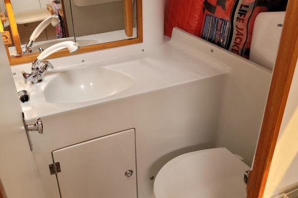 Harlequin aft head port side.