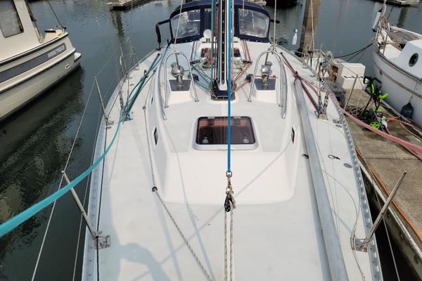 Harlequin foredeck.