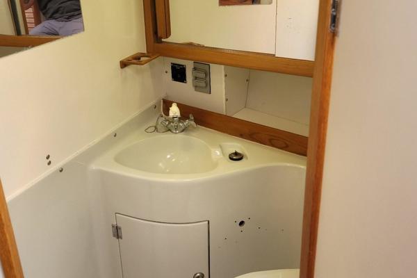 Harlequin forward head port side.