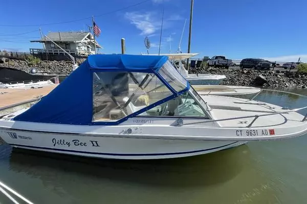 JILLY BEE II 20ft Wellcraft Yacht For Sale