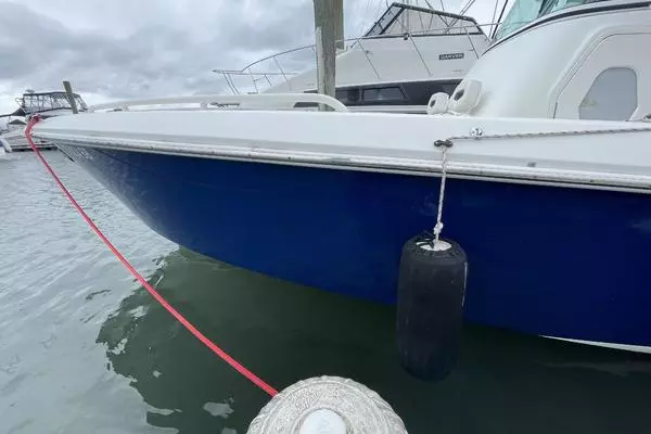 Photo of the 2007 Everglades 290 Pilot