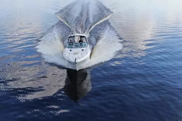 Photo of the 2009 Sea Ray 310 Sundancer "Andrews Place"