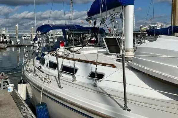 Vela 36ft Catalina Yacht For Sale