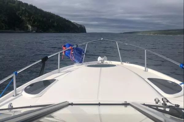 Photo of the 2017 Regal Express "INCEPTION"