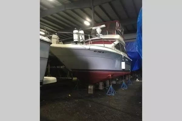 Photo of the 1989 Sea Ray 300 Sedan Bridge