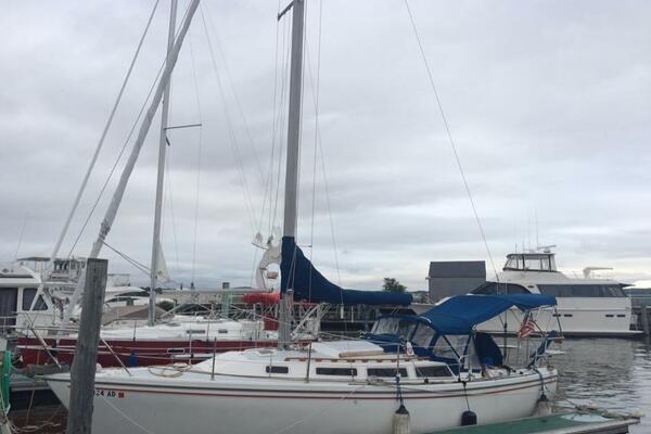 WINDBORNE 30ft Catalina Yacht For Sale