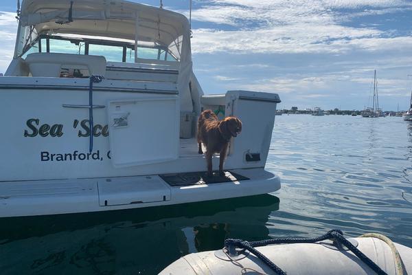 Sea  Scape 31ft Tiara Yachts Yacht For Sale