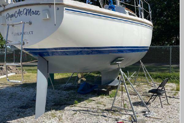 Free At Mast 30ft Catalina Yacht For Sale Free At Mast 30ft Catalina Yacht For Sale