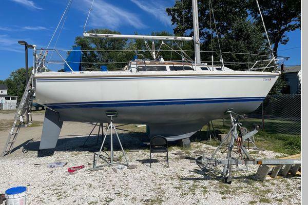 Free At Mast 30ft Catalina Yacht For Sale Free At Mast 30ft Catalina Yacht For Sale