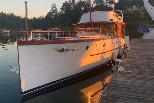 Vagabond At The Dock