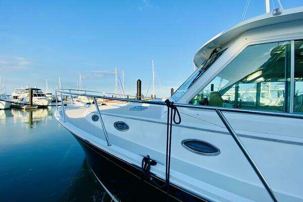 Photo of the 2014 Back Cove 41