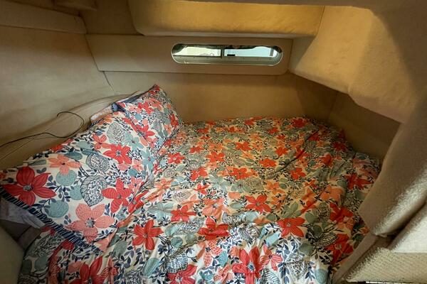 A Little More Temptation 31ft Bayliner Yacht For Sale