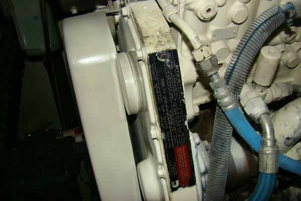 My Angel 43ft Carver Yacht For Sale