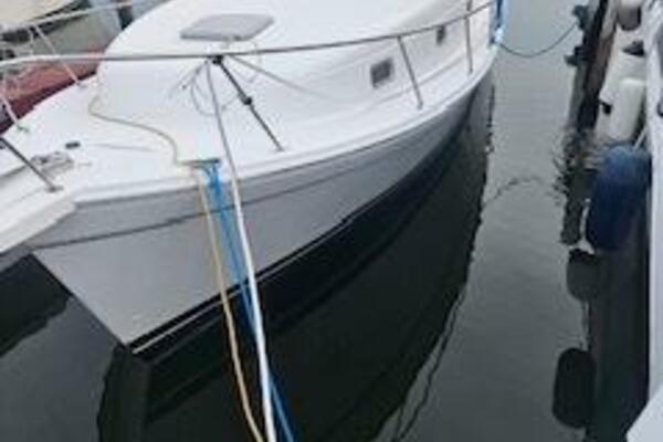 El Dorado 34ft Mainship Yacht For Sale