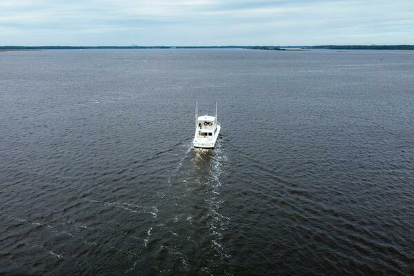 Photo of the 1992 Viking Convertible