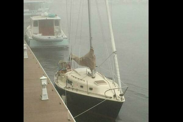 Photo of the 1974 Pearson  "DYER WOLF"